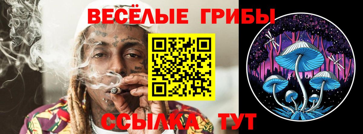 Галлюциногенные грибы Magic Shrooms  Вход с VPN  Галлюциногенные грибы Cubensis  Кимры 
