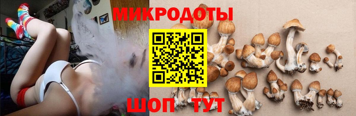 Псилоцибиновые грибы Magic Shrooms Кимры